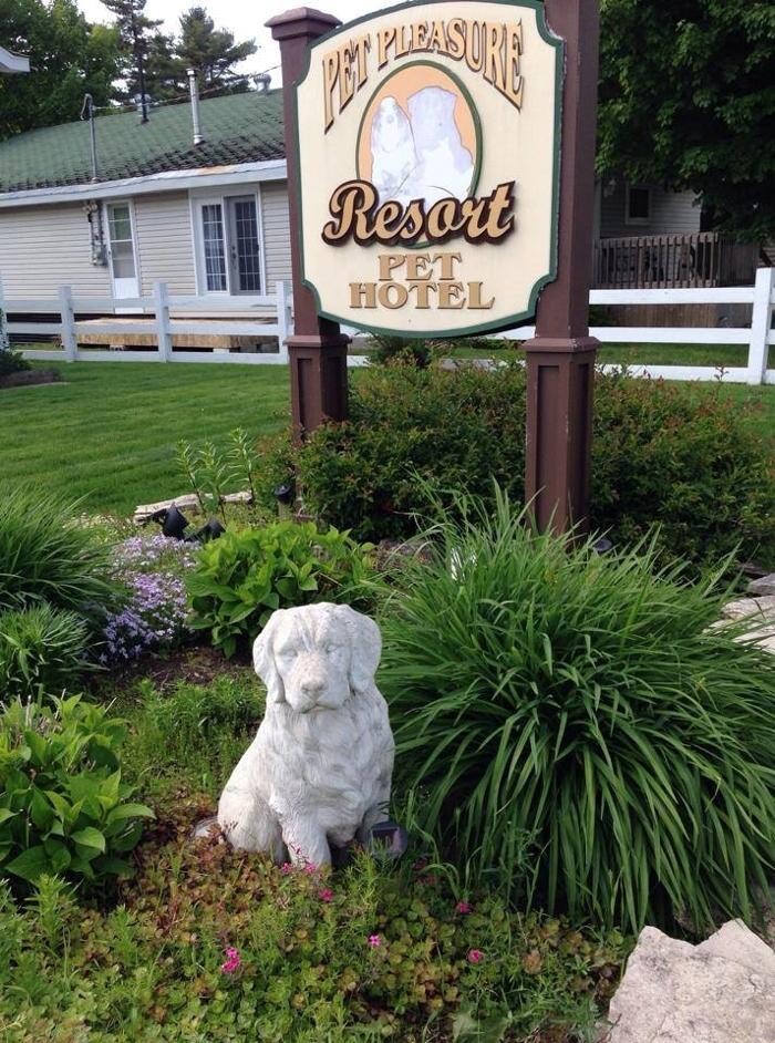 Images Pet Pleasure Resort
