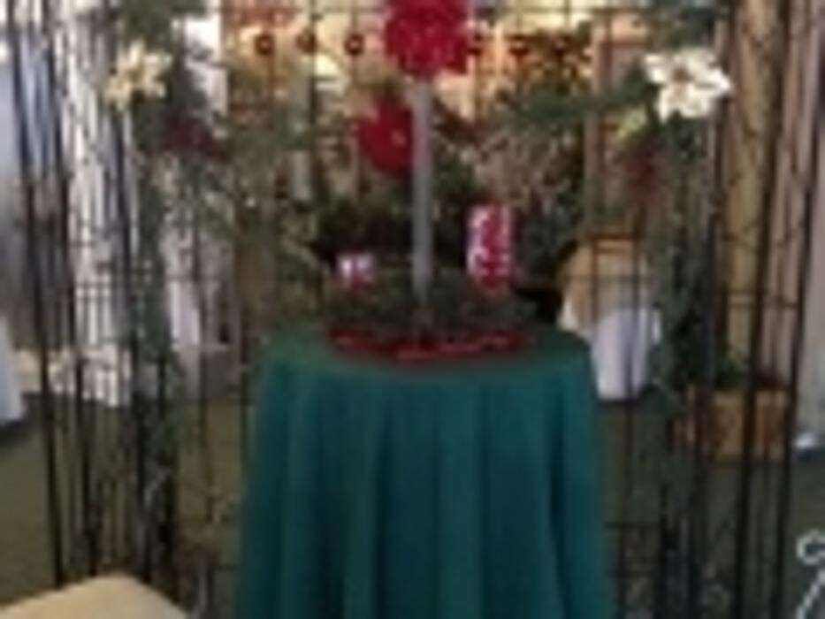 Images Affordable Elegance Wedding & Event
