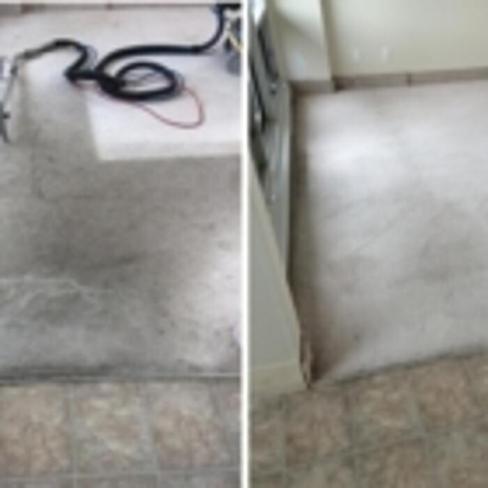 Images Tim's Quality Carpet Cleaning