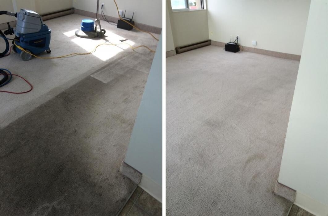 Images Tim's Quality Carpet Cleaning