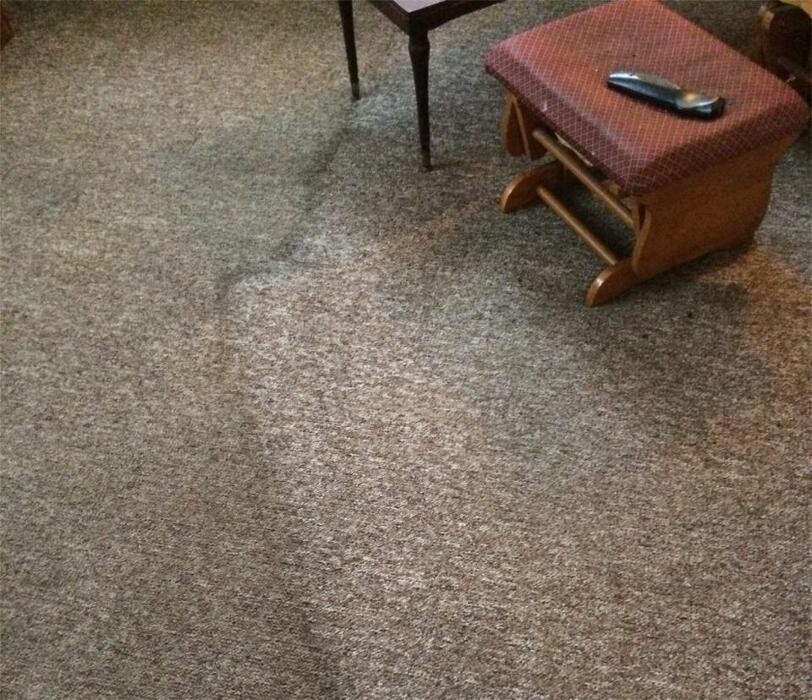 Images Tim's Quality Carpet Cleaning