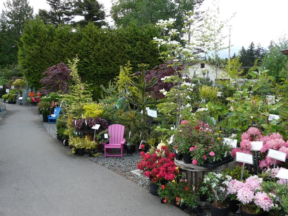Images Cultivate Garden & Gift Ltd