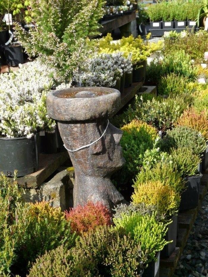 Images Cultivate Garden & Gift Ltd