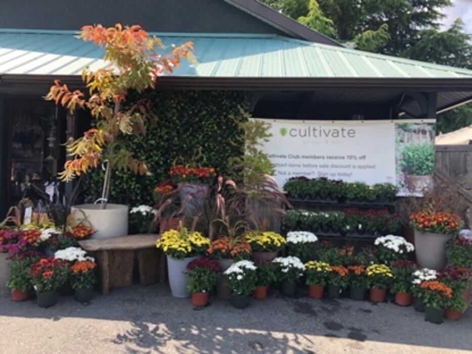 Images Cultivate Garden & Gift Ltd