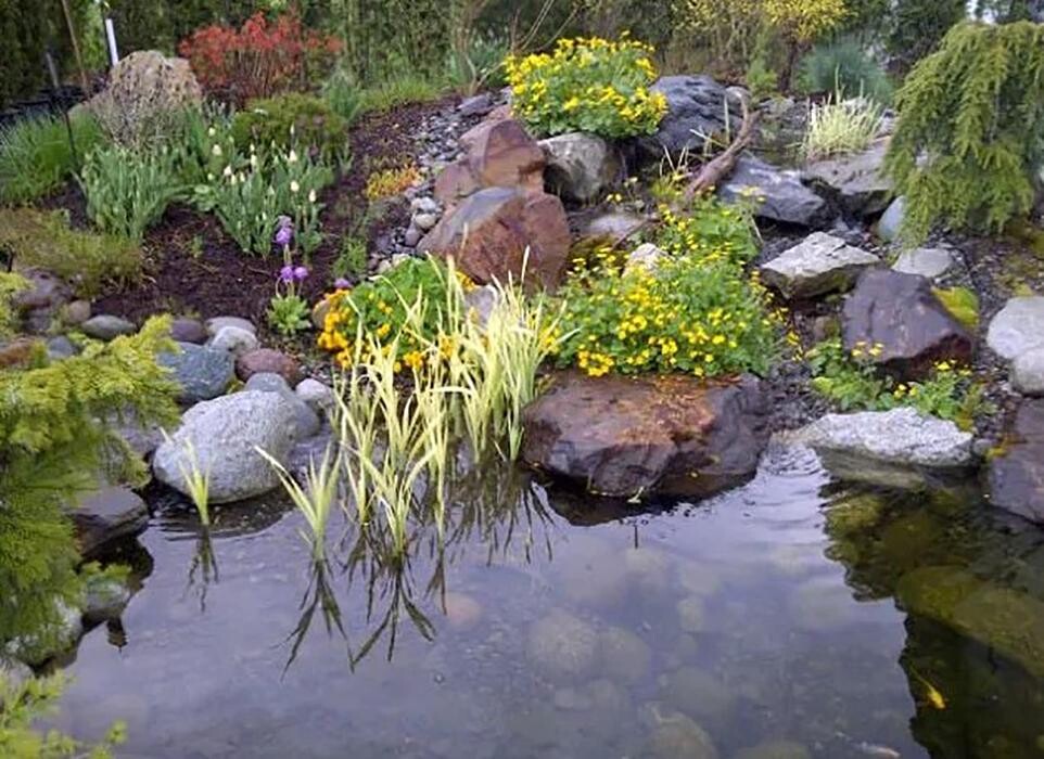 Images Uplands Nursery