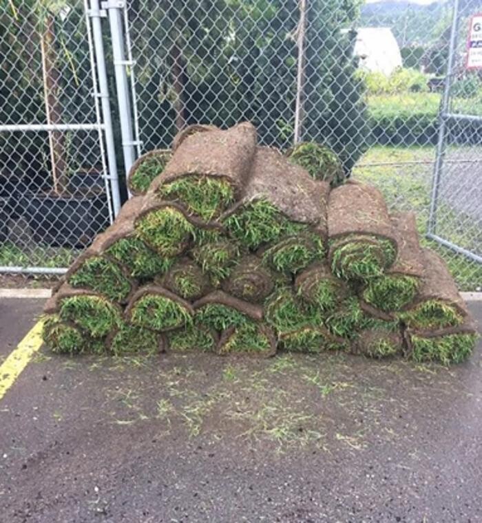 Images Uplands Nursery