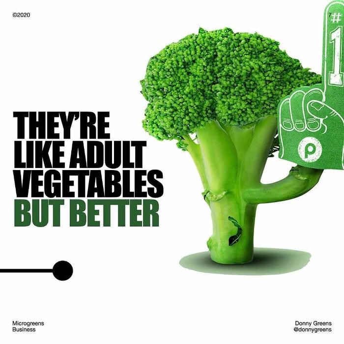 Images Holistic Urban Farmer