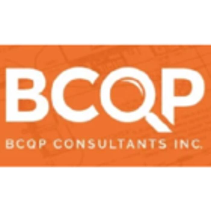 BCQP Consultants Inc. Logo