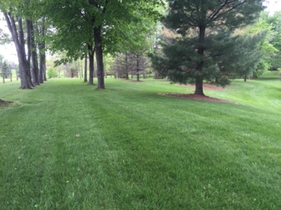 Images AutoRock Services Lawn Care & Maintenance