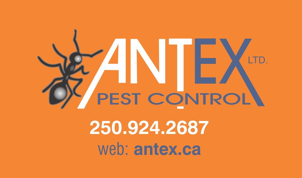 Images Antex Pest Control Ltd