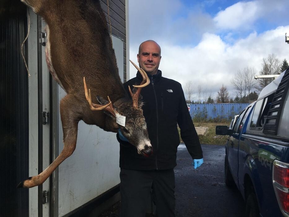 Images Débitage des Laurentides