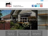 Website Screenshot Cat Scape