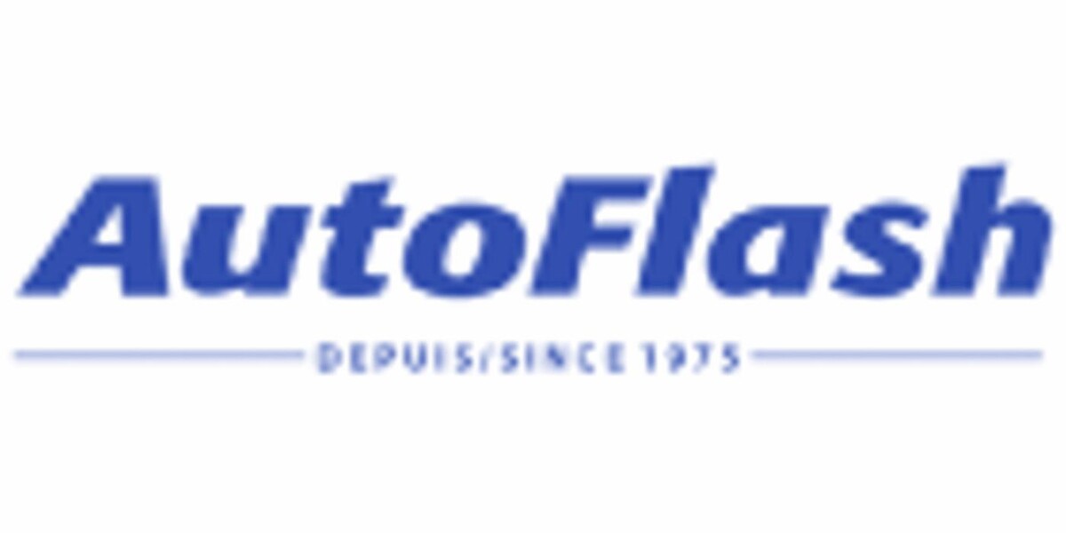 Auto Flash Logo