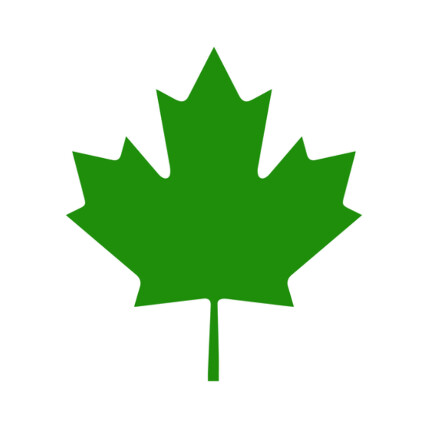 www.long-haggertycpa.ca Logo