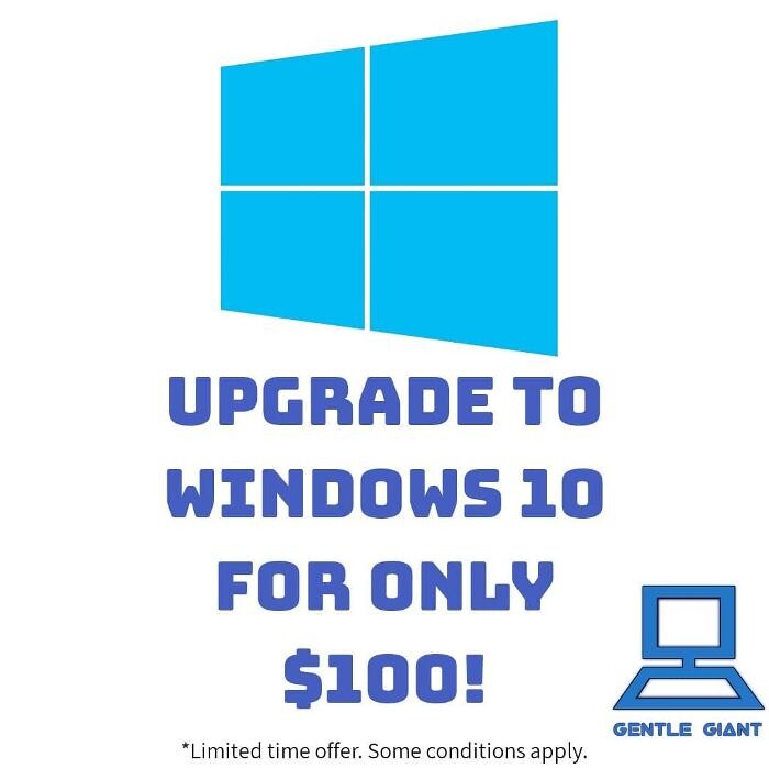 Images Gentle Giant Tech Assistance