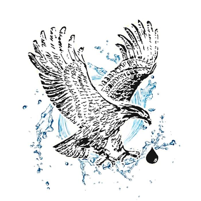 Images Les Systèmes d'Eau Eagle Rive-Sud Inc.