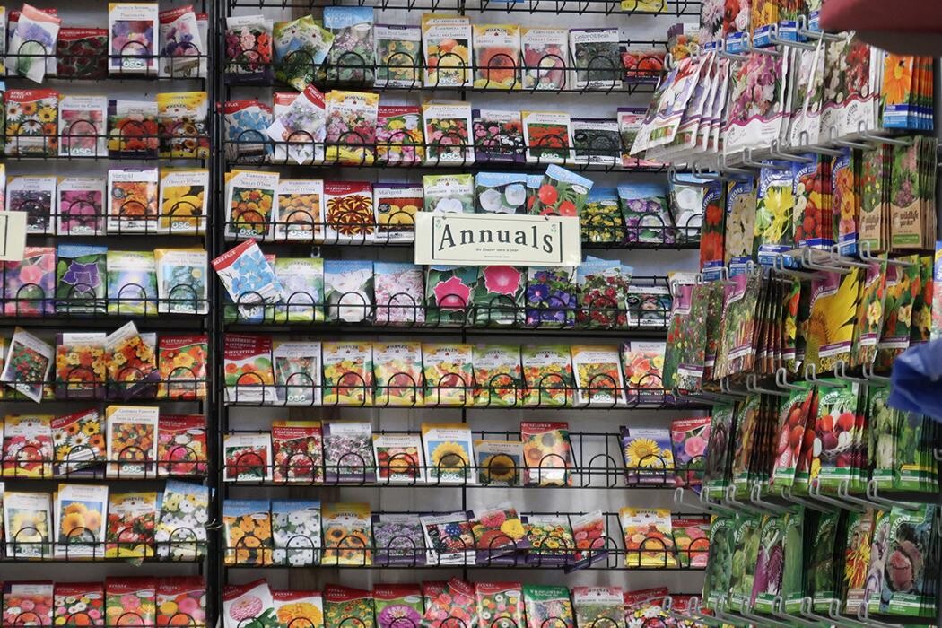 Images Spencer's Garden Centre