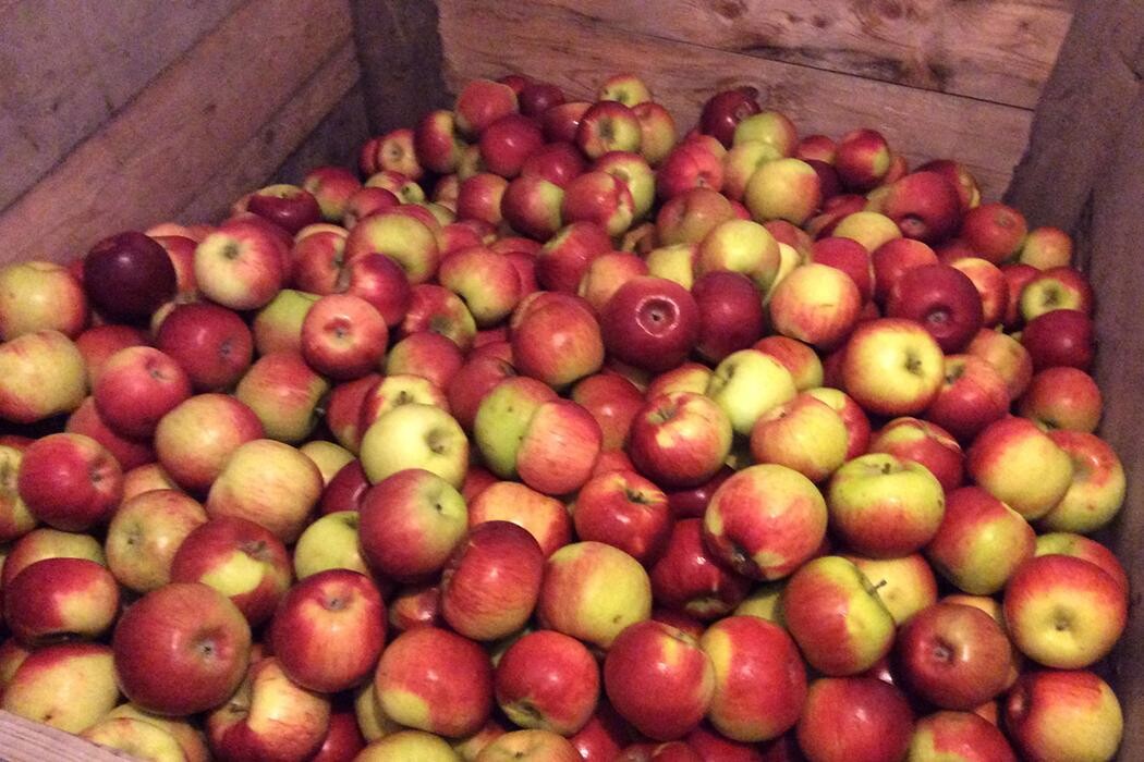 Images Spencer's Garden Centre