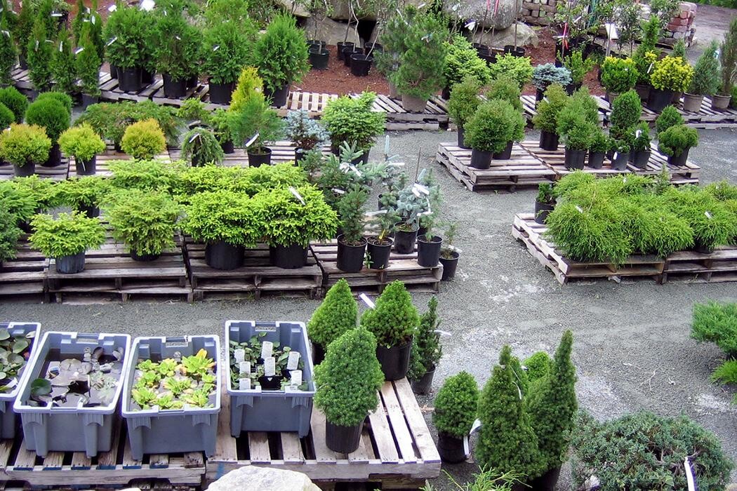 Images Spencer's Garden Centre