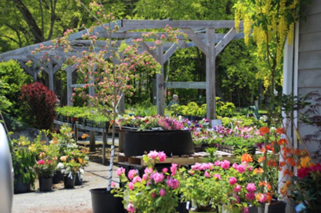 Images Spencer's Garden Centre