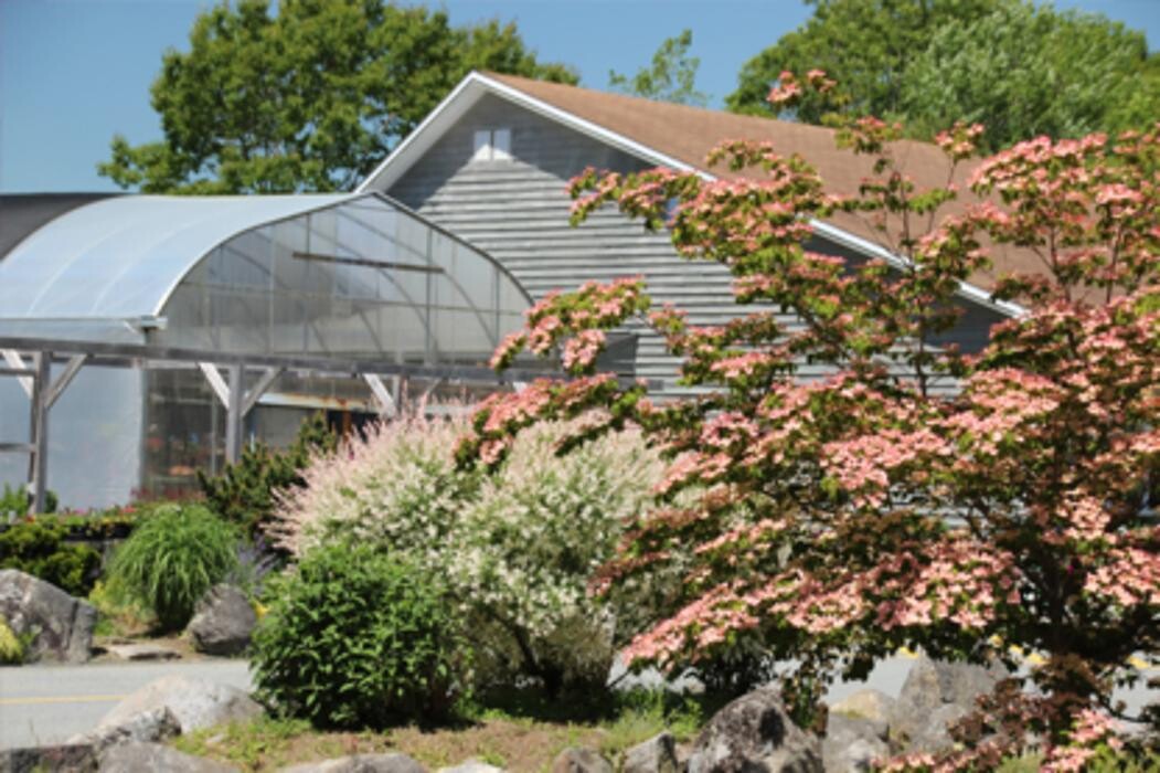 Images Spencer's Garden Centre