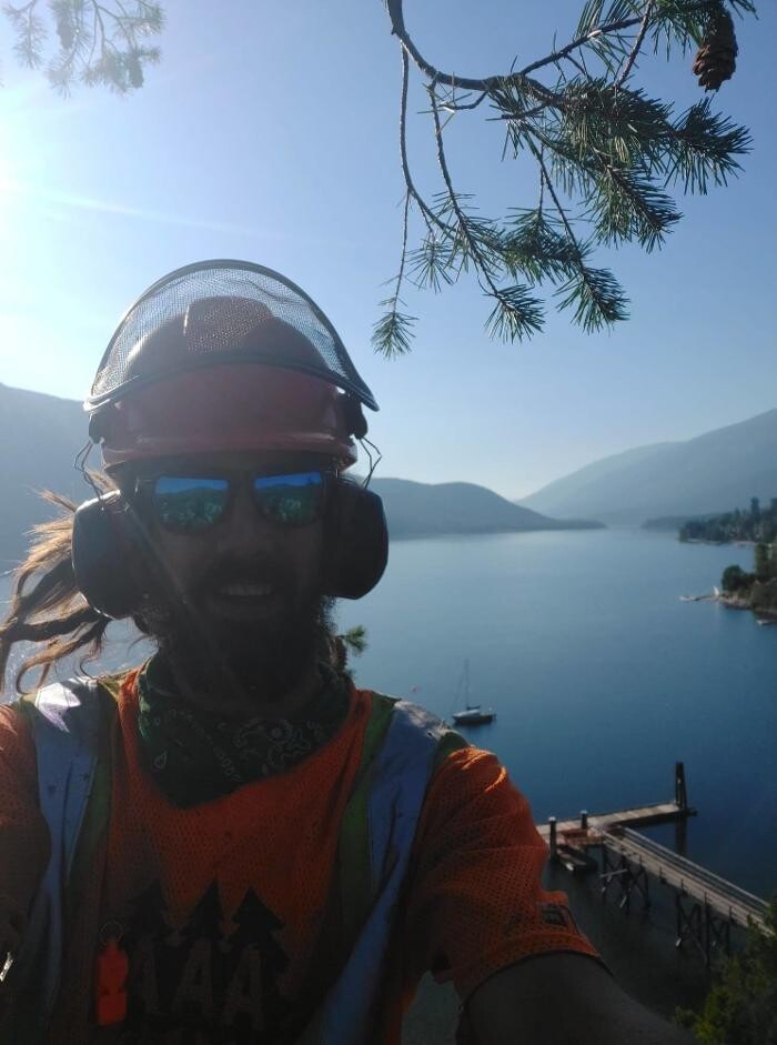 Images North Lakes Arborist