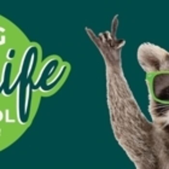 Images Craig Wildlife Control