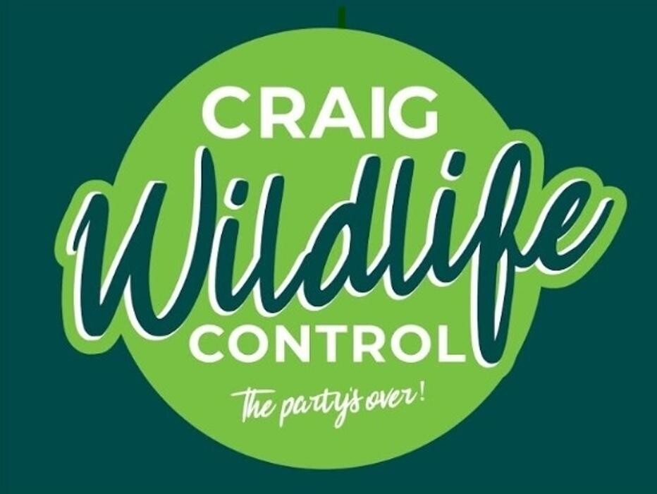 Images Craig Wildlife Control