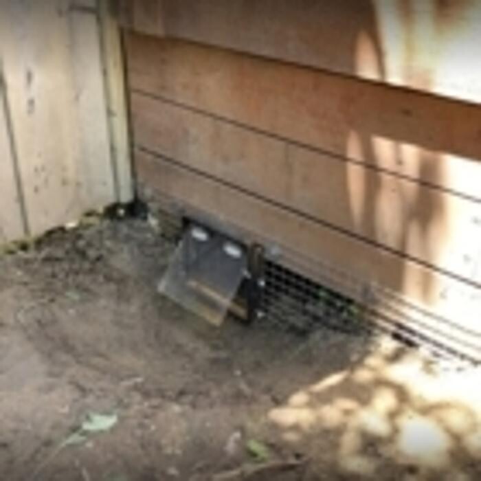 Images Craig Wildlife Control