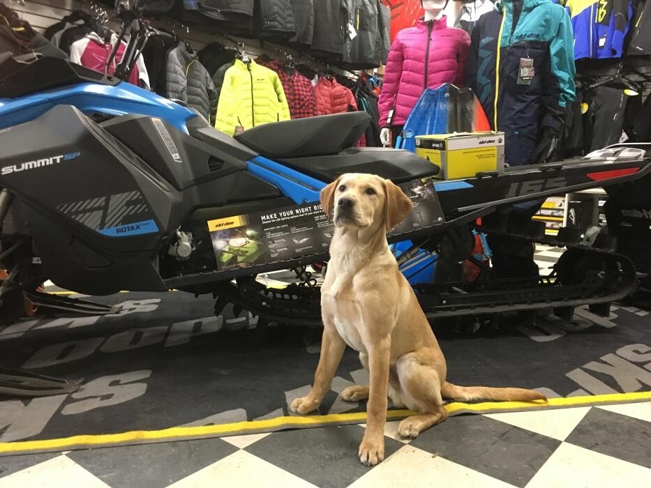 Images Performance All Terrain