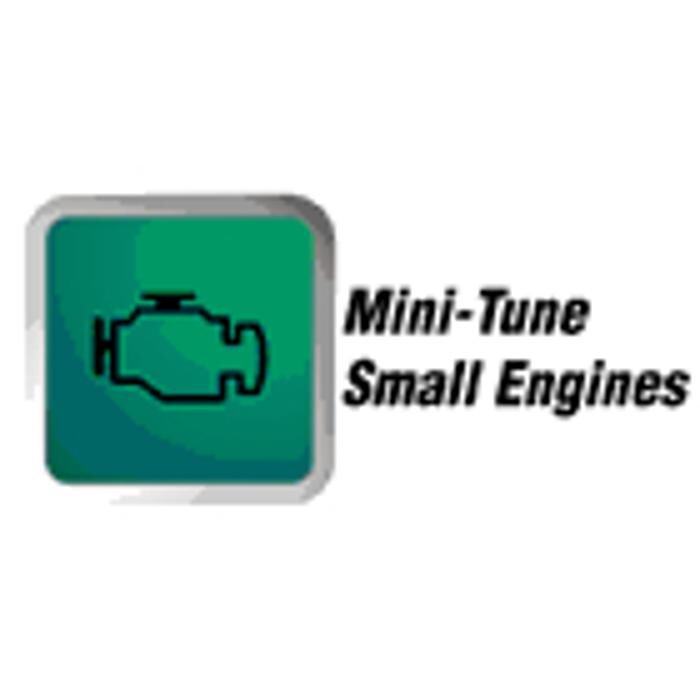 Images Mini-Tune Small Engines