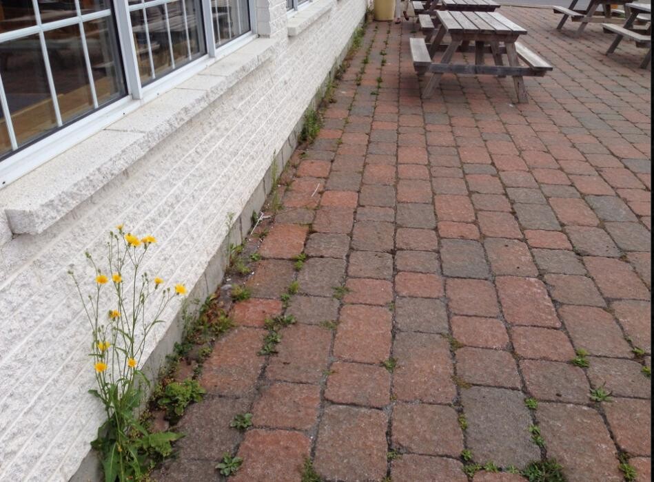 Images Groupe Ultra DMA Pavage