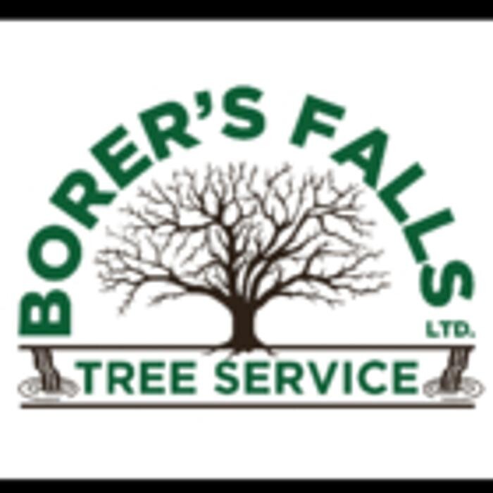 Images Borer's Falls Tree Service