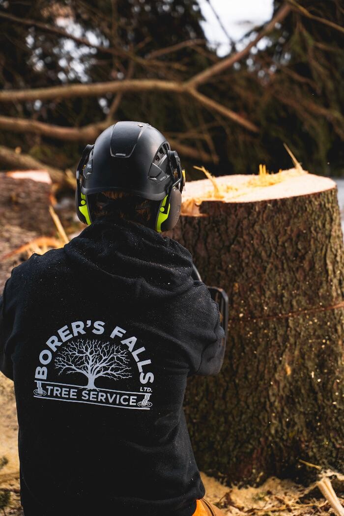 Images Borer's Falls Tree Service