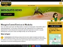 Website Screenshot Mosquito Hero