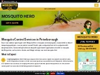 Website Screenshot Mosquito Hero