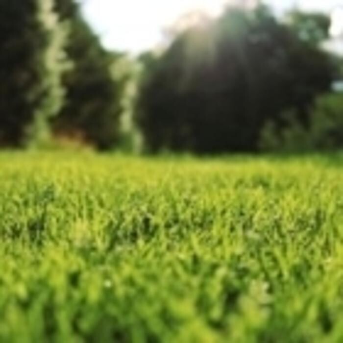Images Turfco Landscape Supply Inc