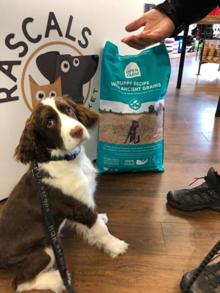 Images Rascals Pet Market Inc