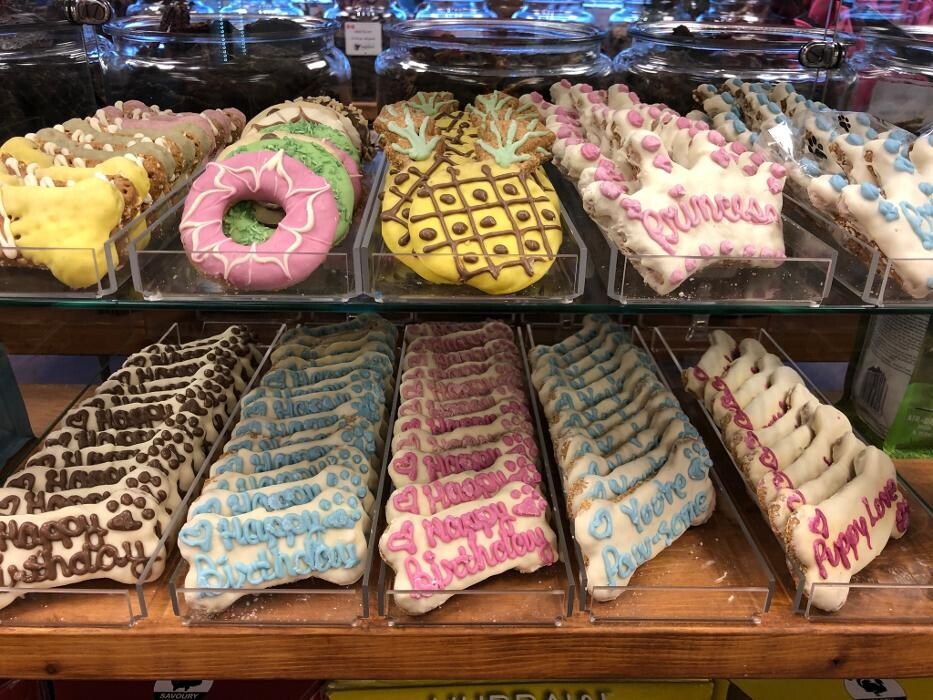 Images Rascals Pet Market Inc