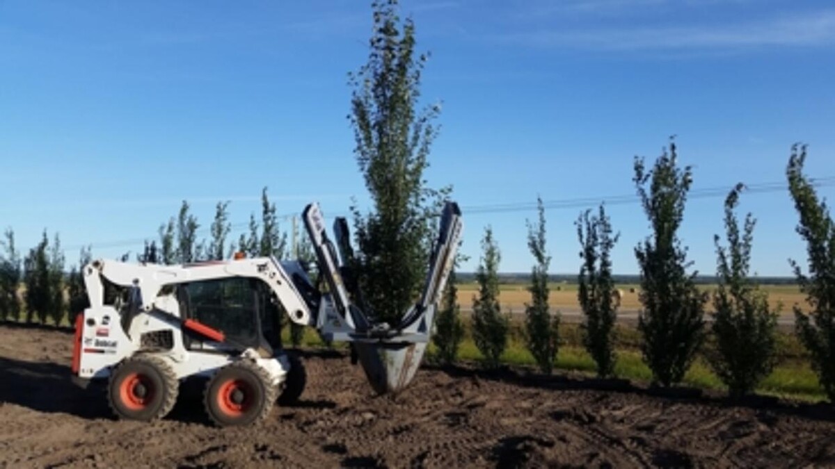 Images Dirtworx Ventures