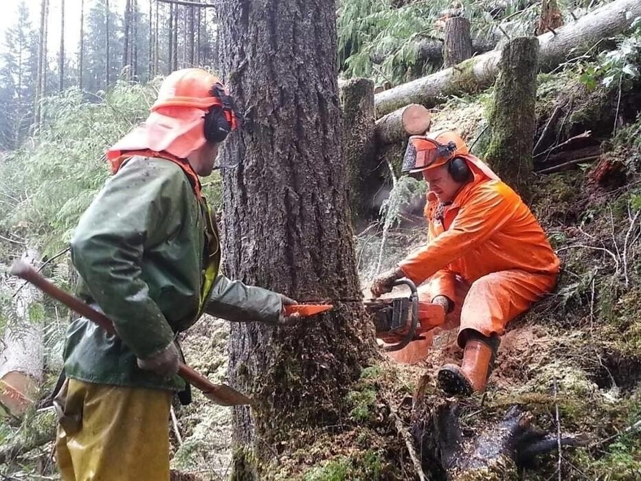 Images Nomad Tree Service