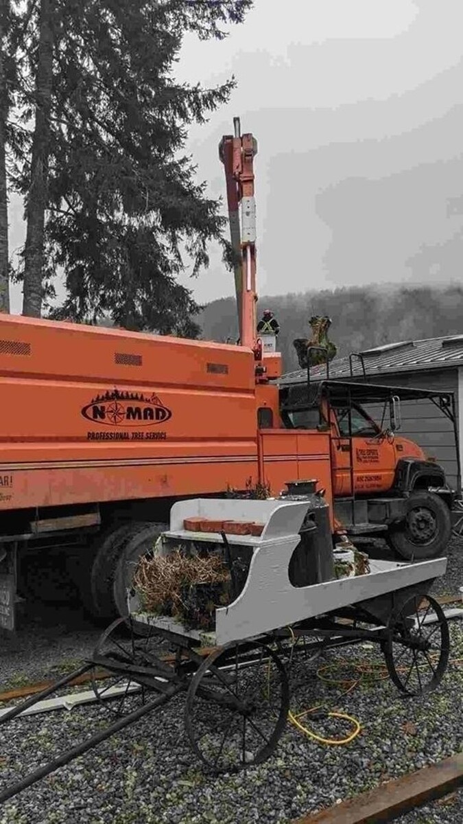 Images Nomad Tree Service