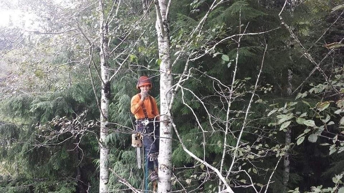 Images Nomad Tree Service