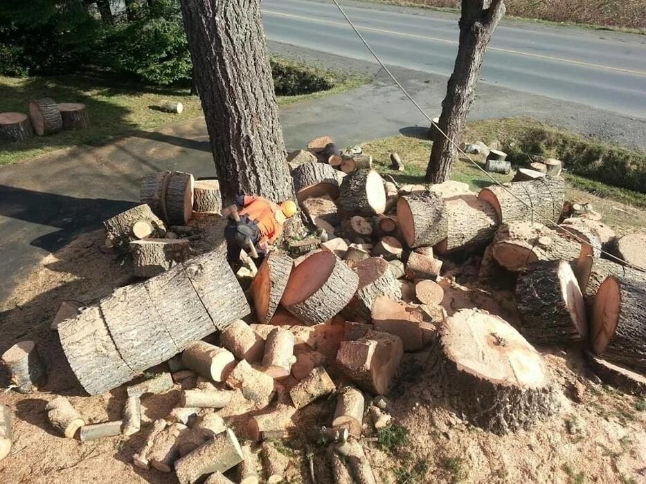 Images Nomad Tree Service