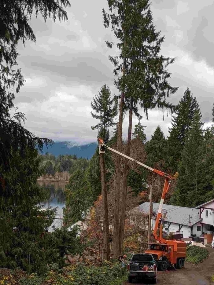 Images Nomad Tree Service