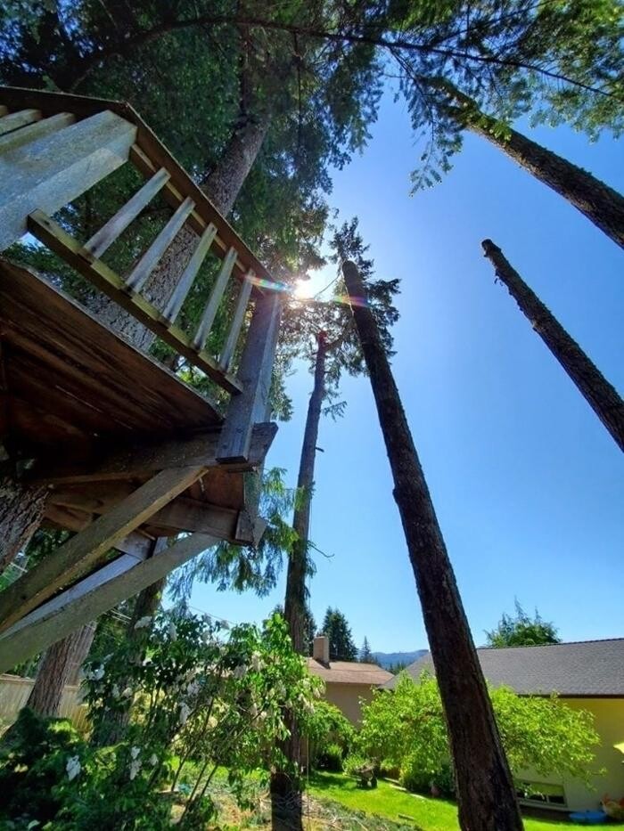 Images Nomad Tree Service