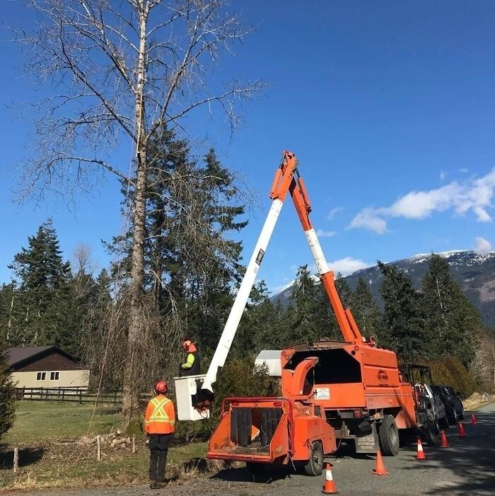 Images Nomad Tree Service