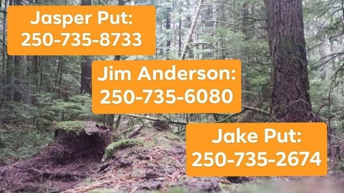 Images Nomad Tree Service