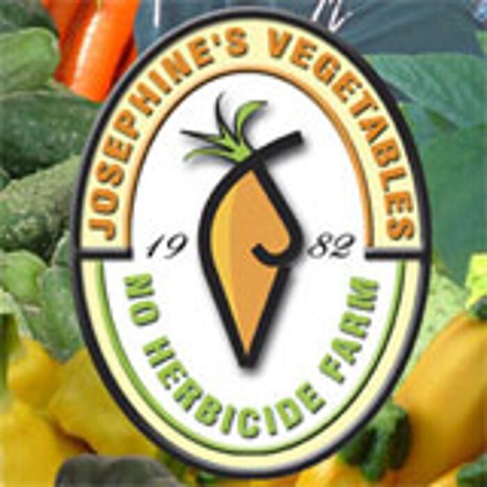 Josephines Vegetables & Dinosaur Valley Mini Golf Logo