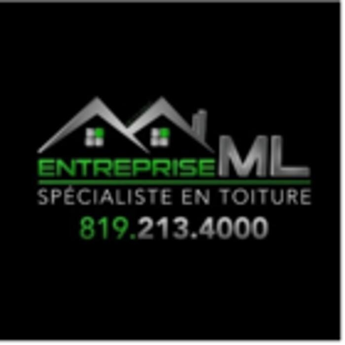 Entreprise ML Logo